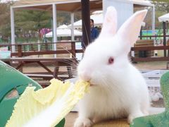 -盈香心动乐园