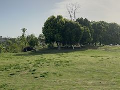 -两河城市森林公园