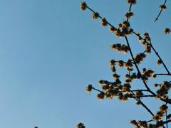 -苏州河梦清园环保主题公园