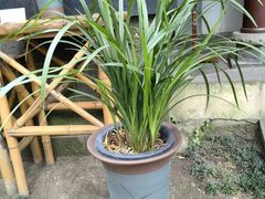-成都杜甫草堂博物馆