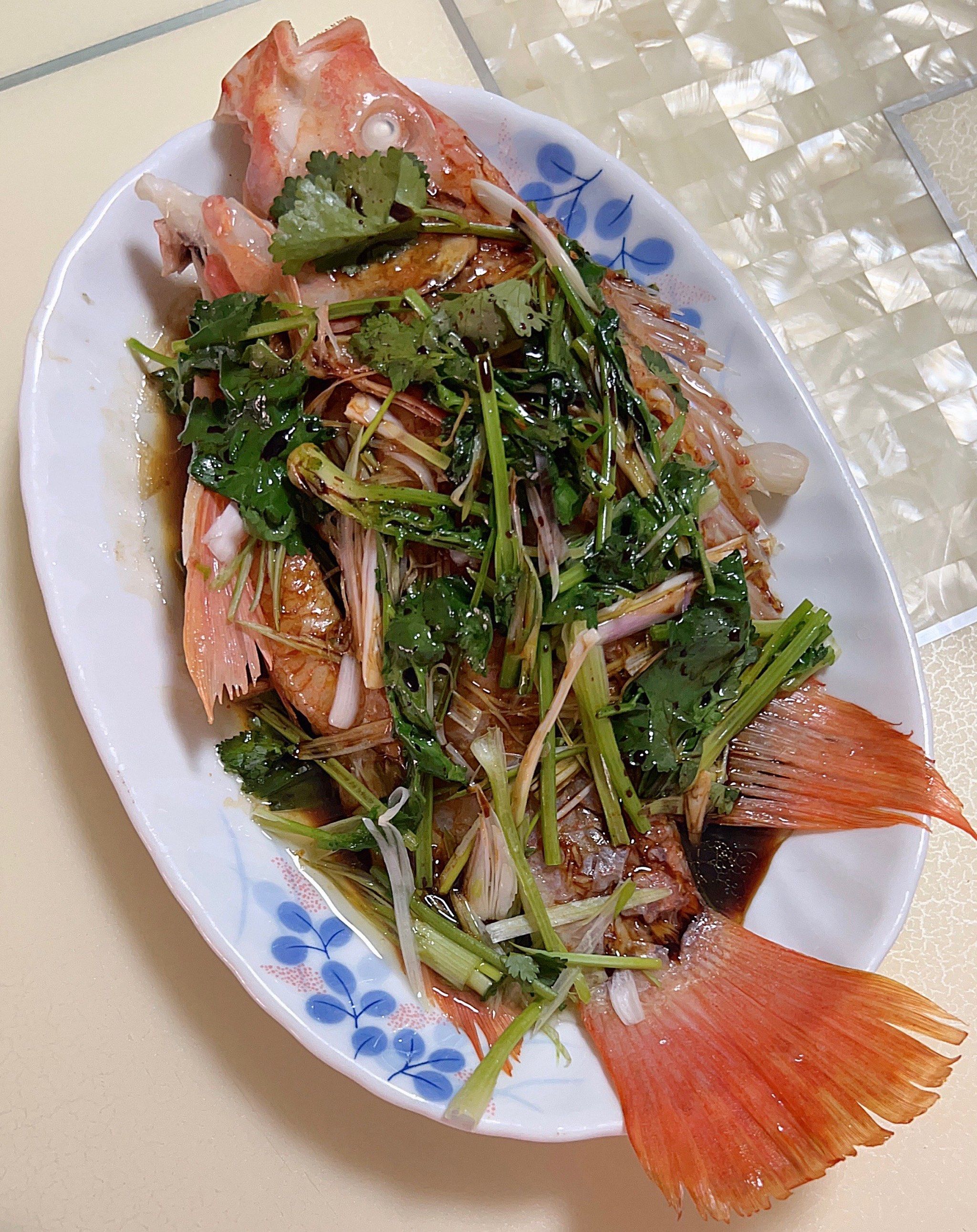 天天领红包最近爱上这款彩虹鲷鱼了,味道鲜美不腥