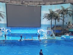 -海合安成都极地海洋公园