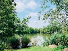 -新荣记(西溪湿地店)