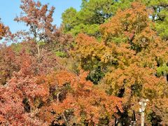 -西山人家·传统苏帮菜·家宴(木渎店)