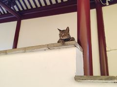-虞山风景区