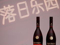 -港汇恒隆广场
