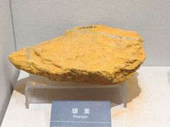 -安徽省地质博物馆