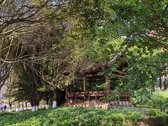 -云南民族村