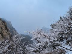 -泰山风景名胜区