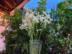 -老宅子私房菜馆(大理古城店)