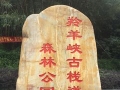 -羚羊峡古栈道森林公园