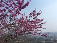 -天台山赤城山景区