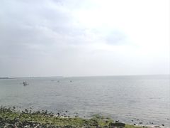 -北海金海湾红树林生态旅游区