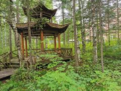 -峡谷浮石林景区