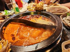 -蜀大侠火锅(总府路店)