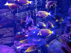 -成都浩海立方海洋公园