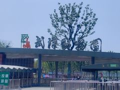 -武汉动物园