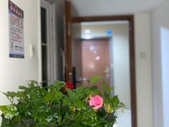 -佰推·肩颈腰·推拿理疗(湾悦城店)