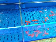 -海底捞火锅(长宁路龙之梦店)