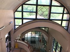 -香港大学