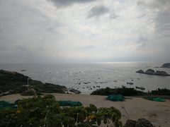 -枸杞岛