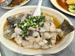 香葱淋鲈鱼-粤·向群饭店(龙津东路总店)