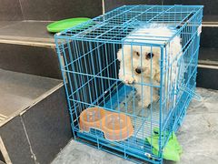 -乡乐园蟹庄·阳澄湖农家乐