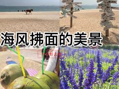 -玫瑰海岸文化旅游度假区
