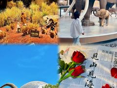 -陕西自然博物馆