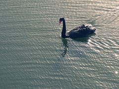 -公益图书馆(江南大学店)