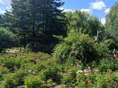 -长春公园(普阳街道)