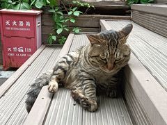 -中国农业博物馆