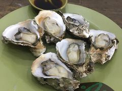 清烧生蚝-贞姨美食·老字号海鲜大排档