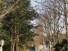 -浙江农林大学(东湖校区)