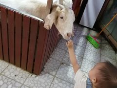 -上海大自然野生昆虫馆(东方明珠·爬宠昆虫探索中心)