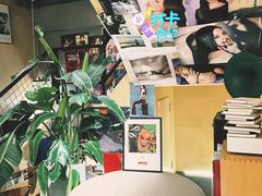 -Echo回声黑胶唱片咖啡馆