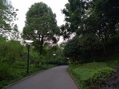 -重庆彩云湖湿地公园