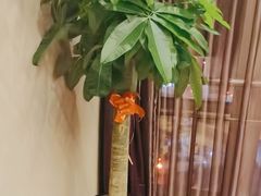 -沪碟·精菜坊(闵行店)