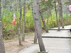 -帽儿山国家森林公园