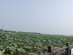 -君豪蟹都·湖景·农家乐(蟹舫苑店)