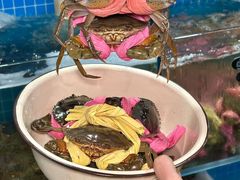 -辣螃铠盆盆蟹大排档(总店)