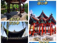 -陶然亭公园