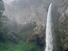 -云南屏边大围山国家公园