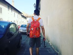 -圣母百花大教堂穹顶