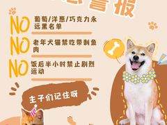 -博特宠物医院24h犬猫全科.骨科·异宠