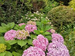 -上海市惠民中学