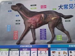 -佳雯宠物医院(信河分店)
