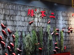 -辣不二地道川菜(汉水路店)