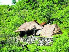 -终南山国家森林公园