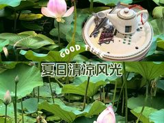 -徐家汇公园